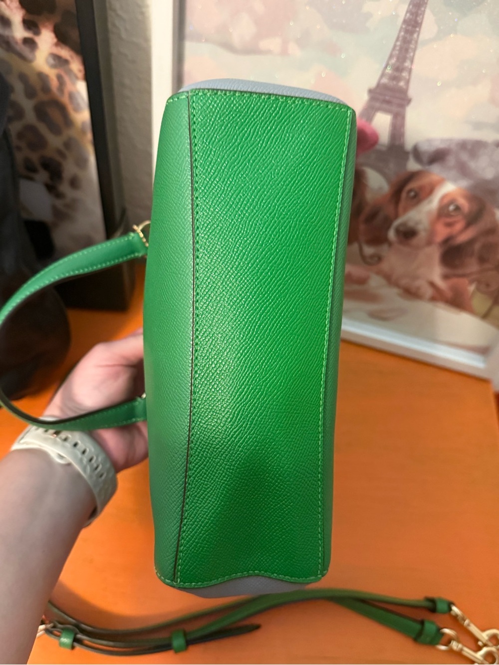 COACH Alice Green and Gray Colorblock Mini Satchel - Picture 9 of 12